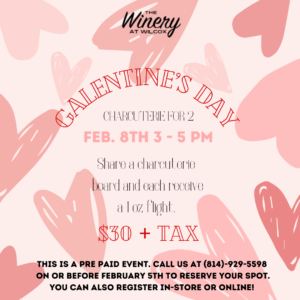 Galentine's Day Charcuterie for Two! - Wilcox