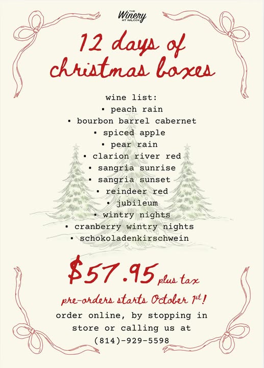 12 Days of Christmas Boxes Pre-sale!
